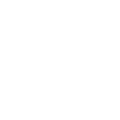 rychlapujckabrno.cz Logo